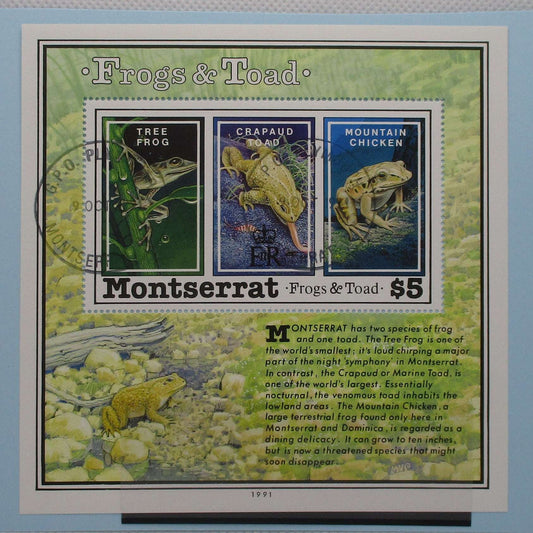Montserrat Stamps, 1991, MS863, Used image 0