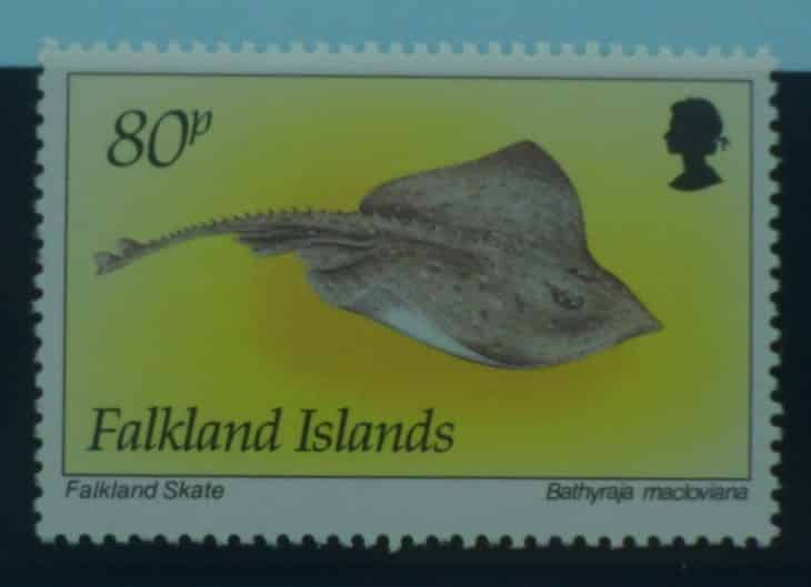 Falkland Islands Stamps, 1994, SG709, Mint image 0