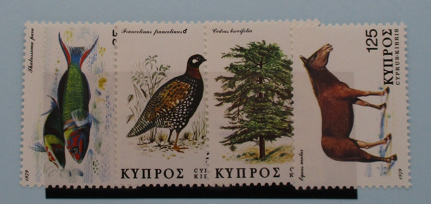 Cyprus Stamps, 1976, SG523-526, Mint image 0