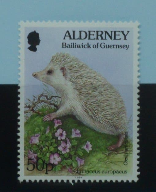 Alderney Stamps, 1994-98, SGA75, Mint image 0