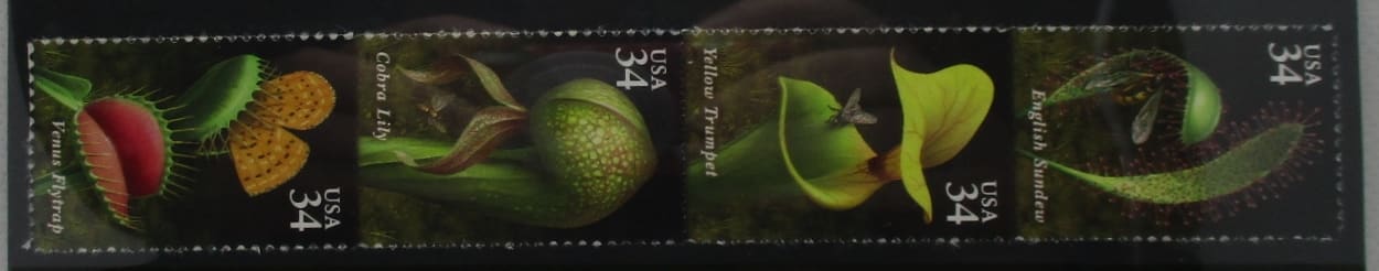 USA Stamps, 2001, SG3997a, Mint image 0