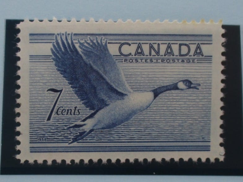 Canada Stamps, 1952, SG443, Mint image 0