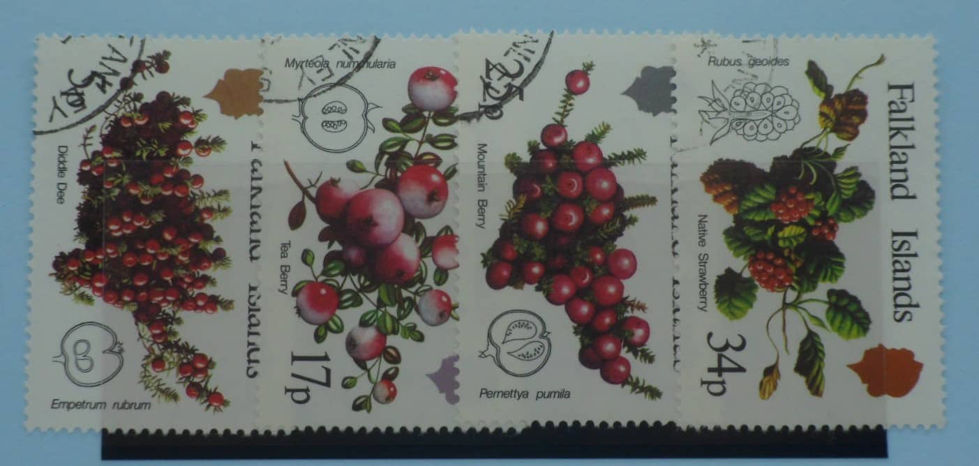 Falkland Islands Stamps, 1983, SG459-462, Used image 0