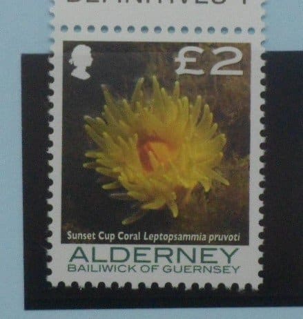 Alderney Stamps, 2006-07, SGA307, Mint image 0