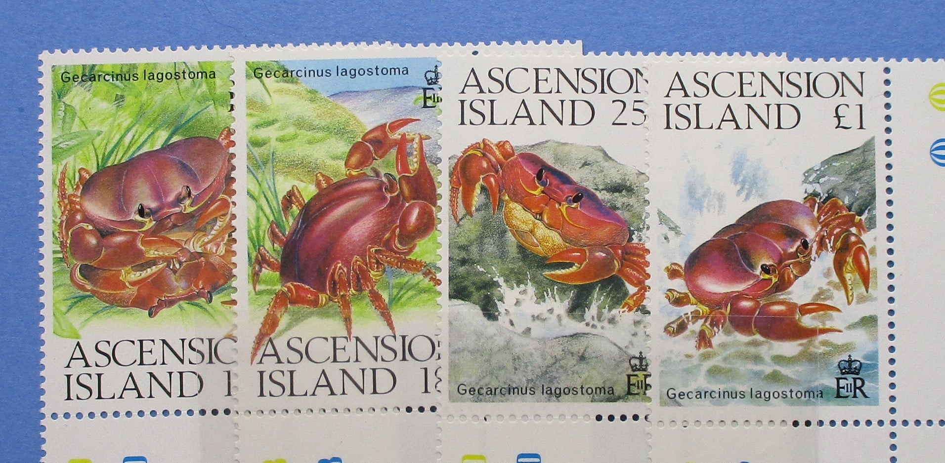 Ascension Island Stamps, 1989, SG487-490, Mint image 0