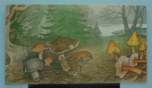 Belgium Stamps, 1991, SB53, Mint image 0