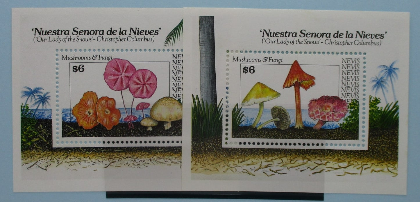 Nevis Stamps, 1991, MS654, Mint image 0