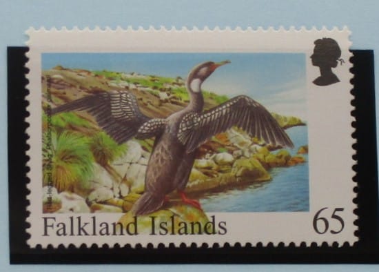 Falkland Islands Stamps, 1998, SG811, Mint image 0