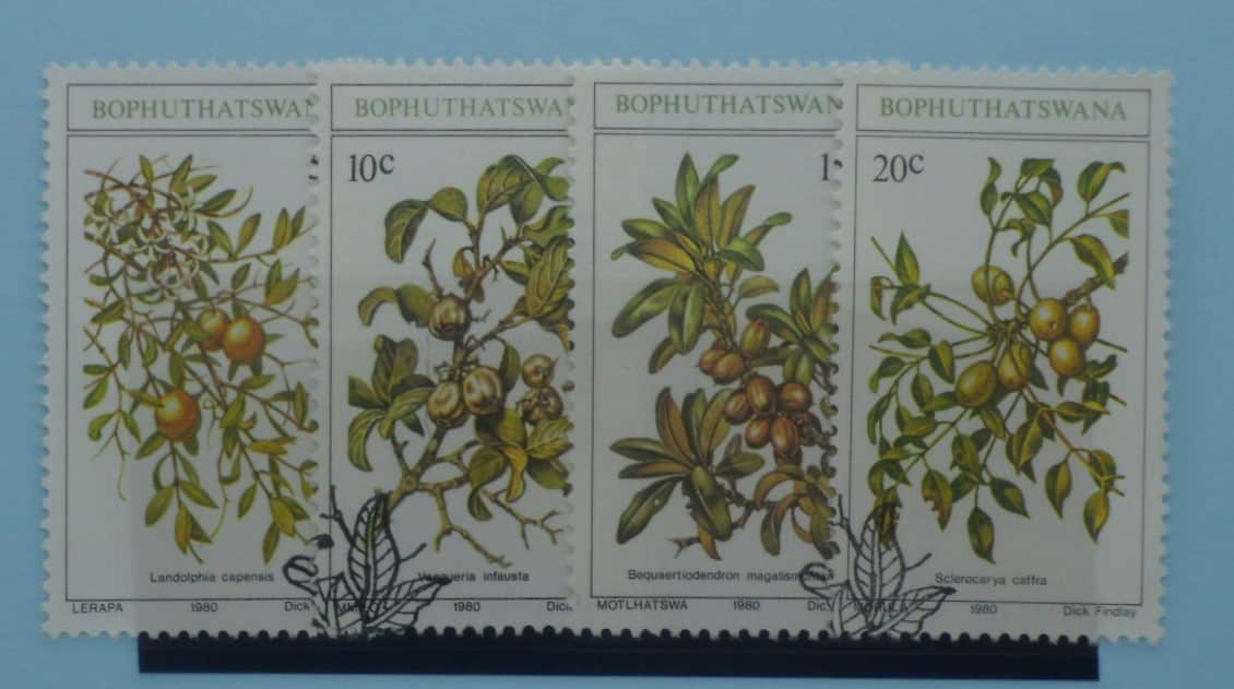 Bophuthatswana Stamps, 1980, SG56-59, Used image 0