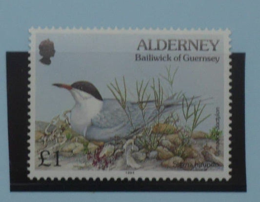 Alderney Stamps, 1994-98, SGA76, Mint image 0