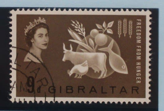 Gibraltar Stamps, 1963, SG174, Used image 0