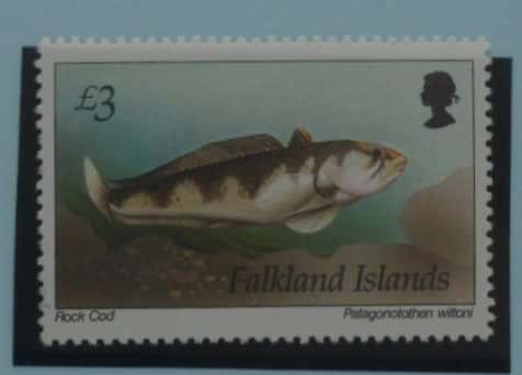 Falkland Islands Stamps, 1994, SG711, Mint image 0
