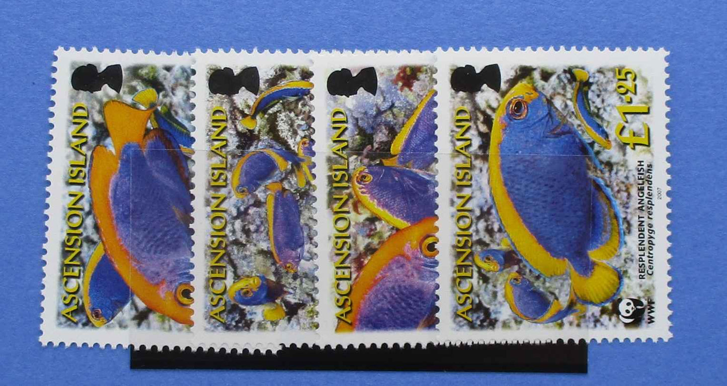 Ascension Island Stamps, 2007, SG962-965, Mint