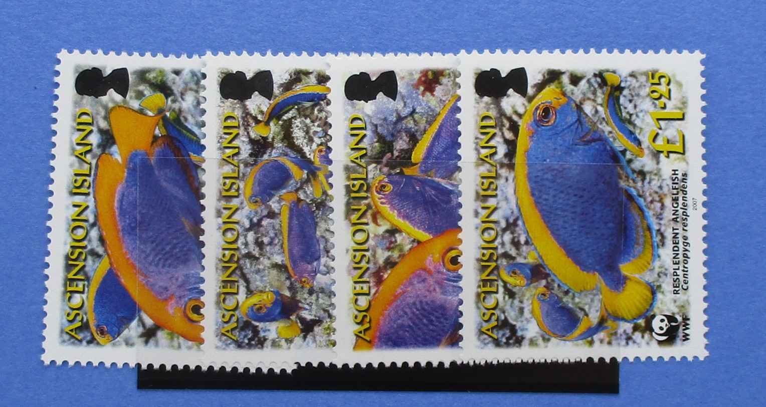 Ascension Island Stamps, 2007, SG962-965, Mint