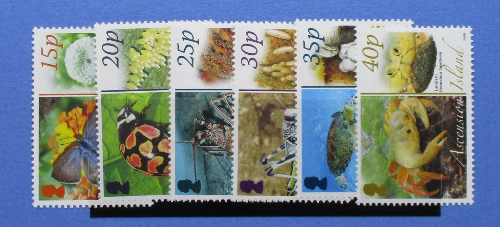 A collection of eight postage stamps from Ascension Island, featuring various colourful butterfly, bird, and plant illustrations with denominations ranging from 15p to 40p, displayed on a blue background.