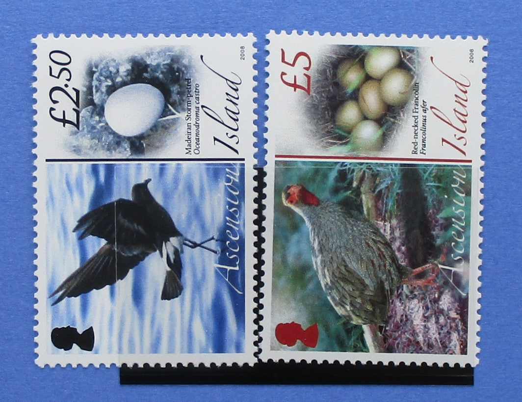 Two postage stamps from Ascension Island on a blue background. The left stamp shows a bird in flight over blue water with an egg, valued at £2.