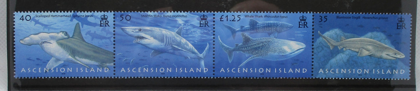 Four Ascension Island postage stamps featuring different shark species, printed in blue shades, with 'ASCENSION ISLAND' printed along the bottom.