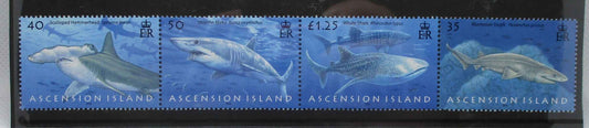 Four Ascension Island postage stamps featuring different shark species, printed in blue shades, with 'ASCENSION ISLAND' printed along the bottom.