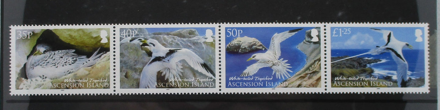 A set of four postage stamp illustrations showing seabirds on rocky cliffs, with denominations 30p, 50p, 75p, and 100p visible and the text 'Ascension Islands' at the bottom.