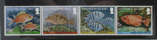 Four postage stamps from Ascension Island featuring colorful fish illustrations, shown side by side on a dark background.