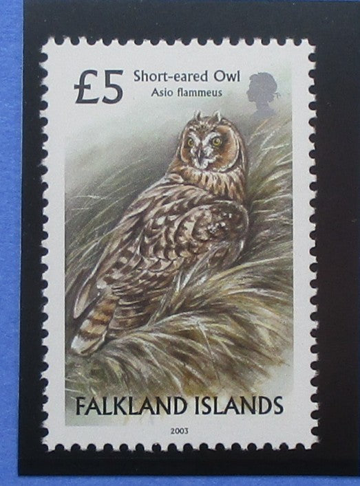 Falkland Islands Stamps, 2003, SG965, Mint