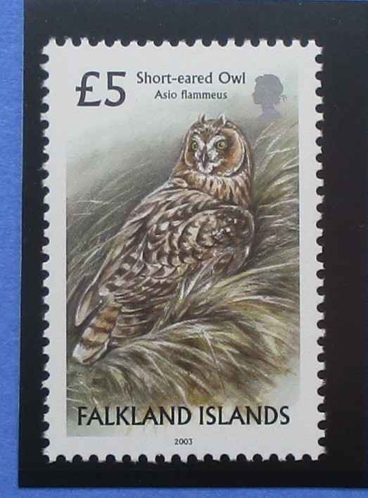 Falkland Islands Stamps, 2003, SG965, Mint