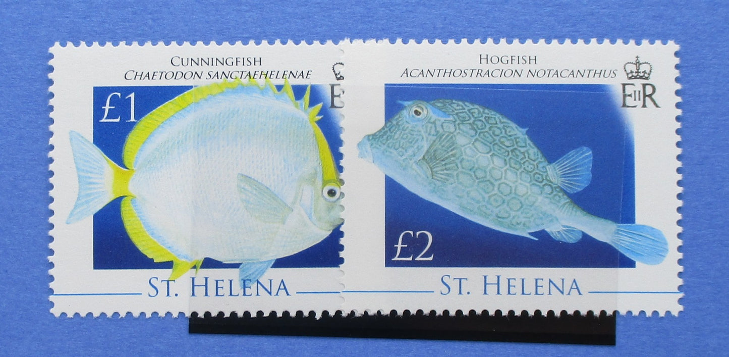 Two postage stamp designs for St. Helena featuring fish illustrations, displayed side by side on a blue background.
