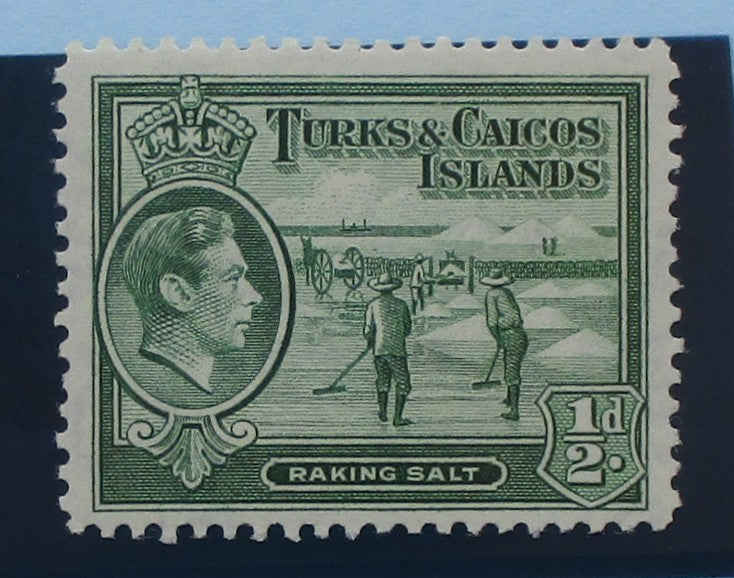 Turks and Caicos Islands Stamps, 1938-45, SG195, Mint