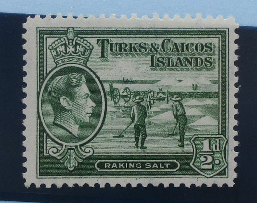 Turks and Caicos Islands Stamps, 1938-45, SG195a, Mint