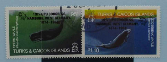 Turks and Caicos Islands Stamps, 1984, SG810-811, Used image 0