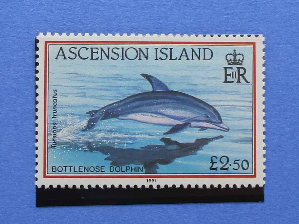 Ascension Island Stamps, 1991, SG568, Mint - Manor Stamps