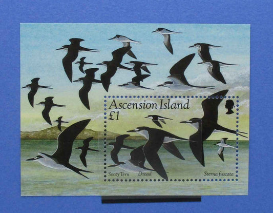 Ascension Island Stamps, 1994, MS637, Mint - Manor Stamps