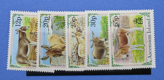 Ascension Island Stamps, 1994, SG638-642, Mint - Manor Stamps
