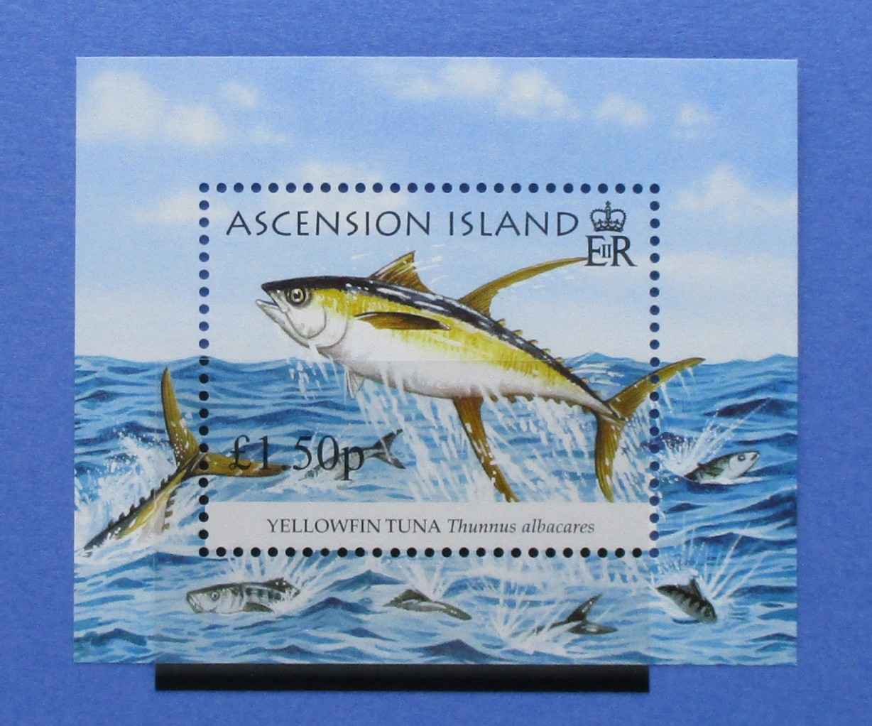 Ascension Island Stamps, 2005, MS931, Mint - Manor Stamps