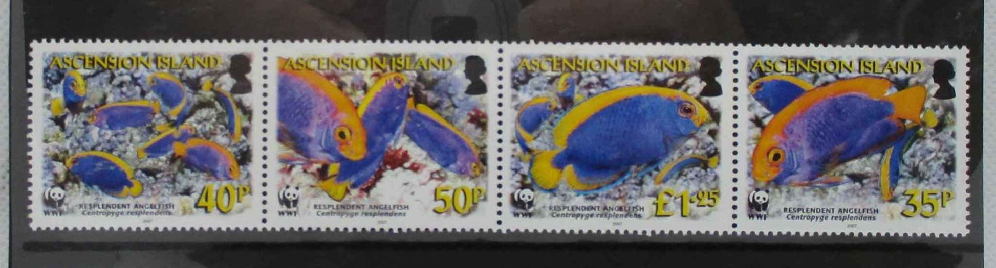 Ascension Island Stamps, 2007, SG962a, Mint - Manor Stamps