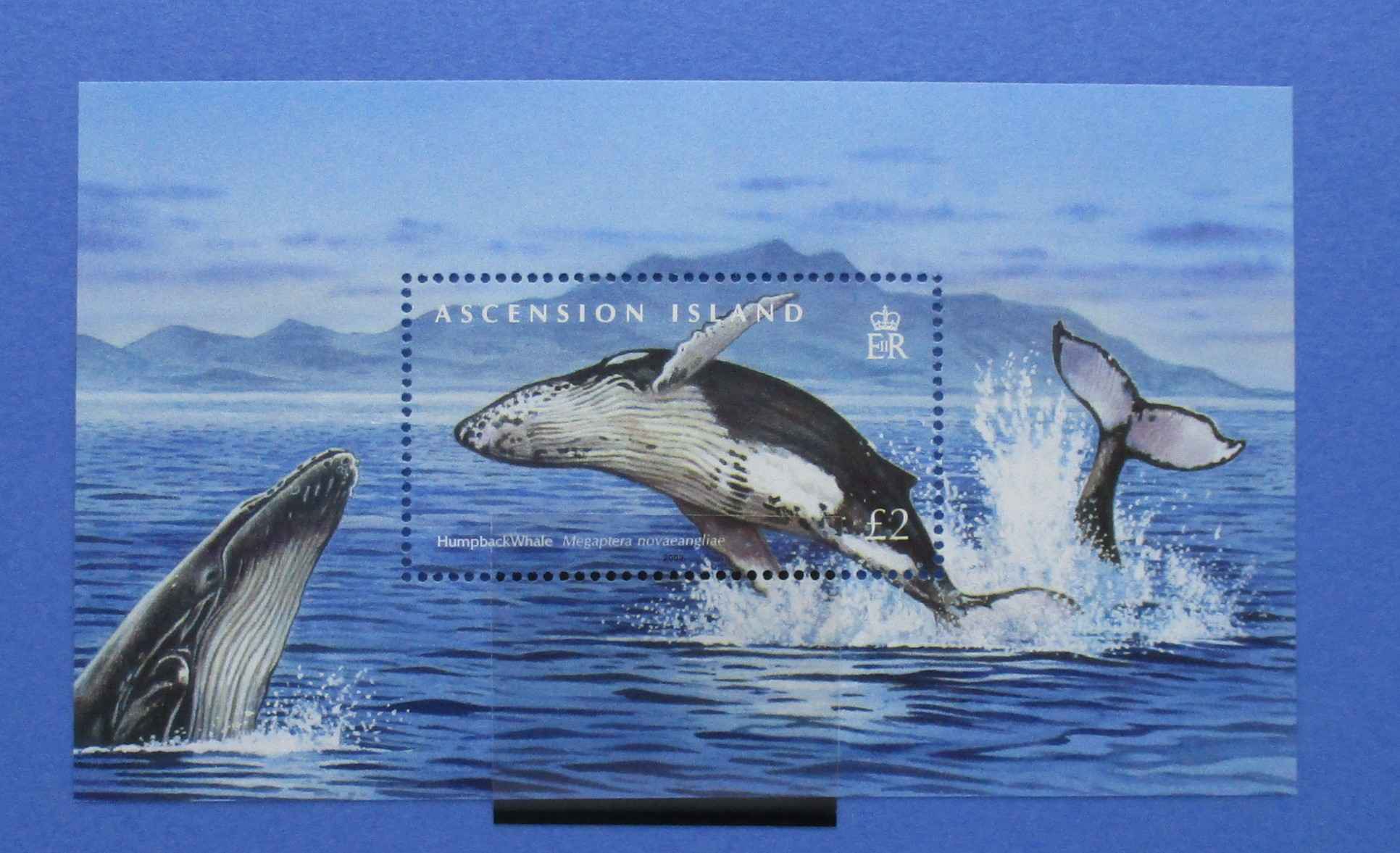 Ascension Island Stamps, 2009, MS1033, Mint - Manor Stamps