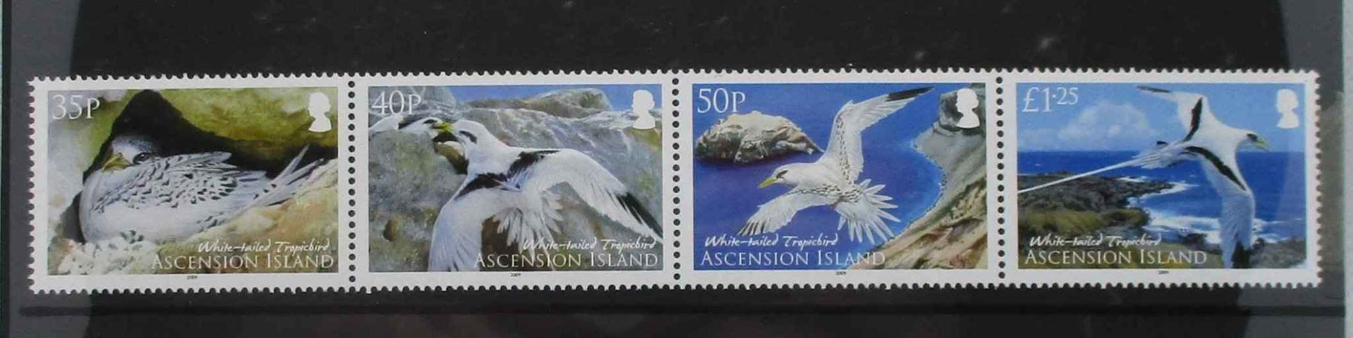 Ascension Island Stamps, 2009, SG1060a, Mint - Manor Stamps