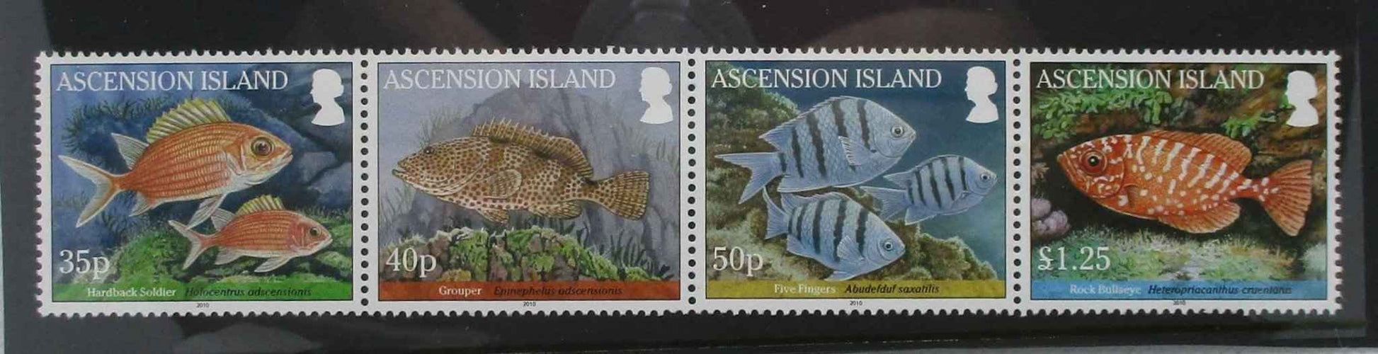 Ascension Island Stamps, 2010, SG1064a, Mint - Manor Stamps