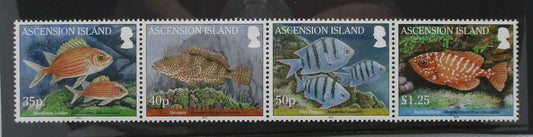 Ascension Island Stamps, 2010, SG1064a, Mint - Manor Stamps