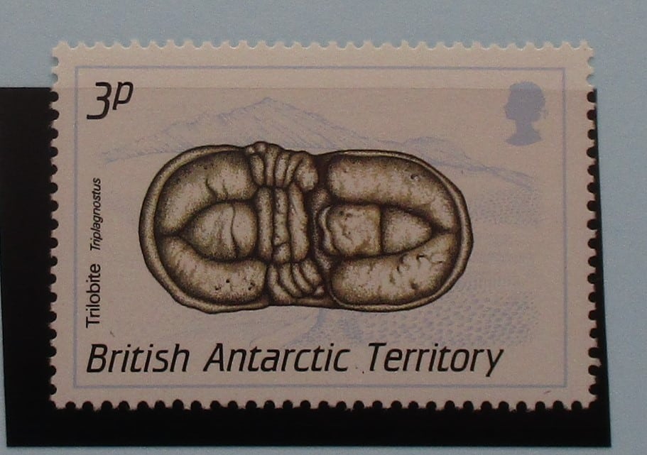 British Antarctic Territory Stamps, 1990, SG173, Mint image 0