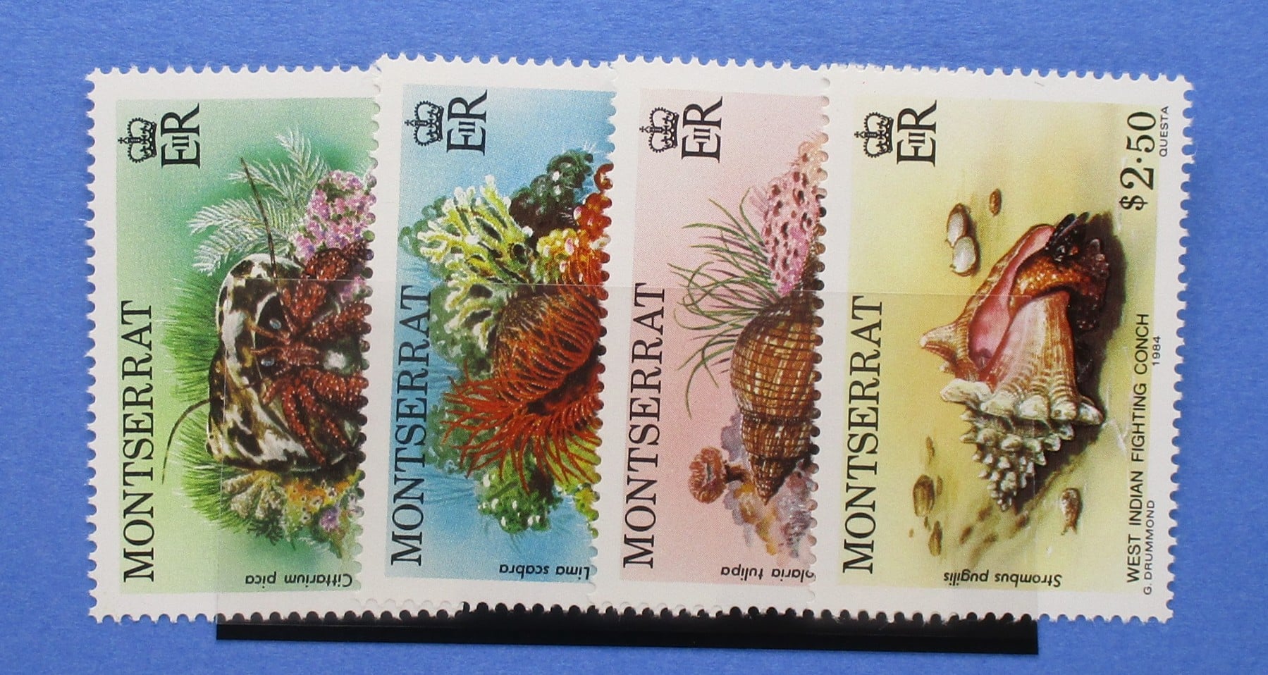 Montserrat Stamps, 1984, SG620-623, Mint image 0
