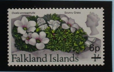 Falkland Islands Stamps, 1971, SG271, Mint image 0
