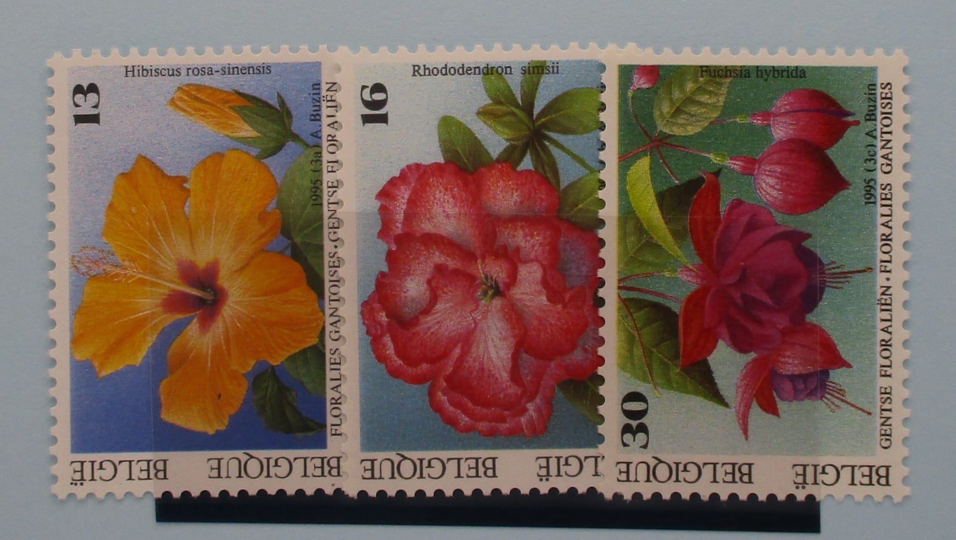 Belgium Stamps, 1995, SG3256 - 3528, Mint - Manor Stamps