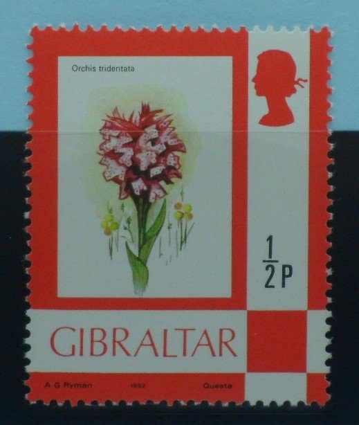 Gibraltar Stamps, 1977-82, SG374a, Mint image 0