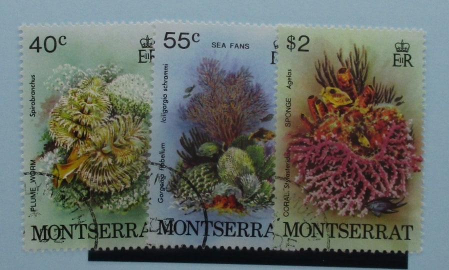 Montserrat Stamps, 1979, SG453-455, Used image 0