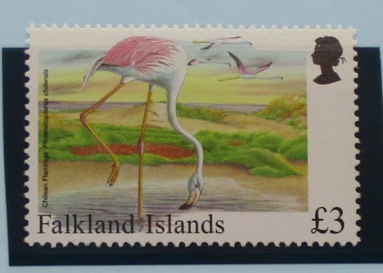 Falkland Islands Stamps, 1998, SG814, Mint image 0