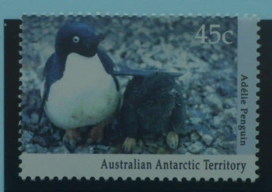 Australian Antarctic Territory Stamps, 1992-93, SG90, Mint image 0