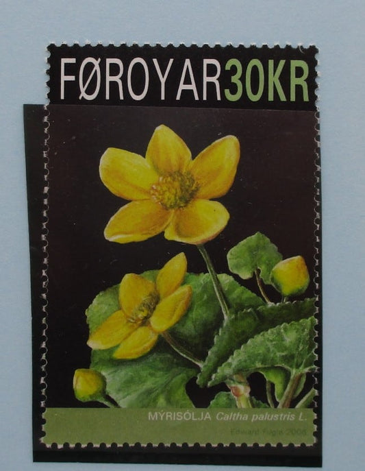 Faroe Islands Stamps, 2008, SG567, Mint image 0