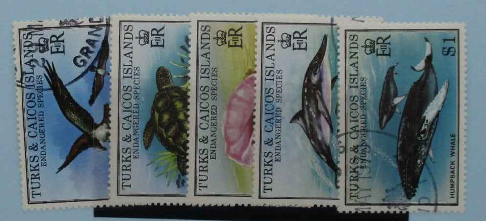 Turks and Caicos Islands Stamps, 1979, SG534-538, Used image 0