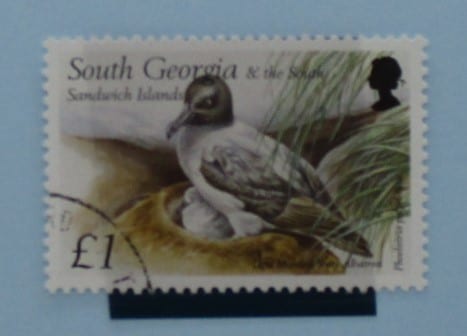 South Georgia and South Sandwich Islands Stamps, 1999, SG303 Used image 0